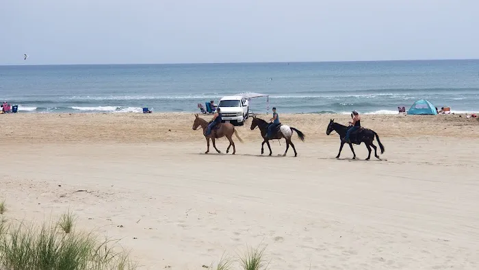 Cape Hatteras National Seashore - Frisco Picture 9