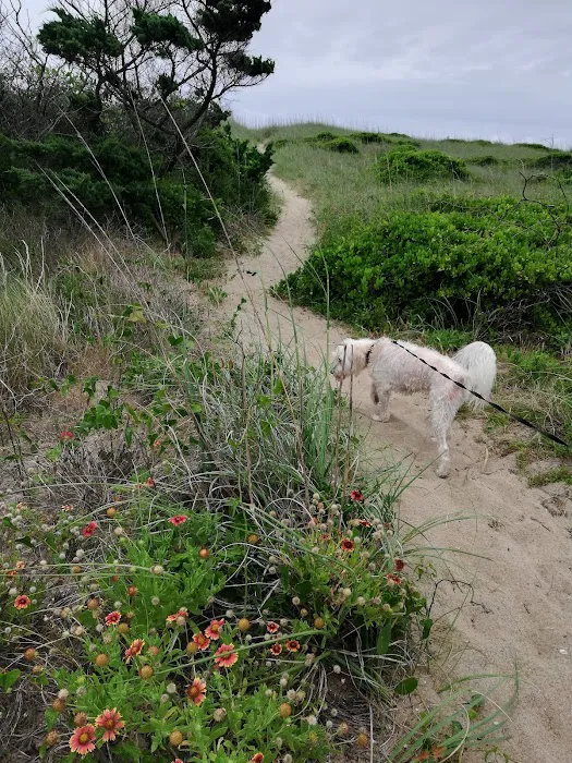 Frisco Campground Picture 9