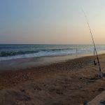 Cape Point Campground