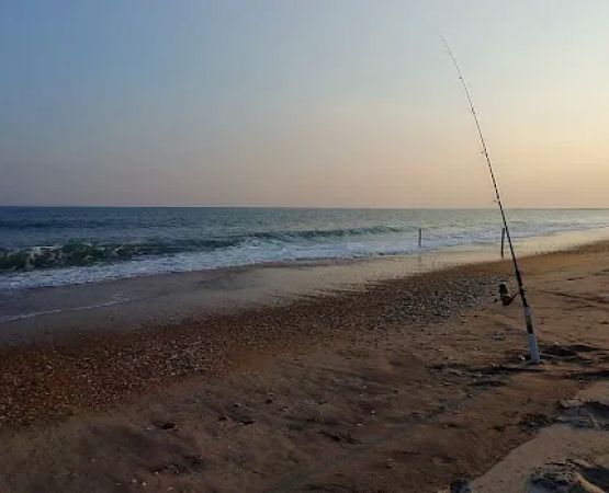 Cape Point Campground