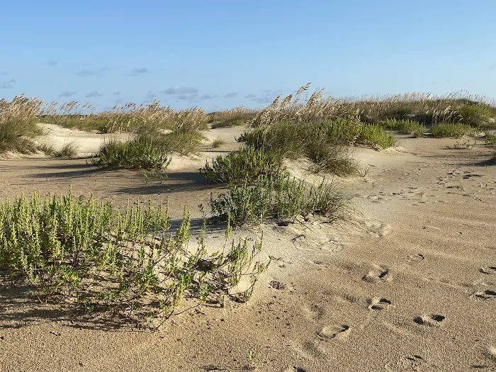 Cape Point Campground Picture 6