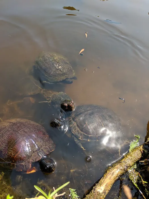 Cape Woods Campgrounds and Cabins Picture 6