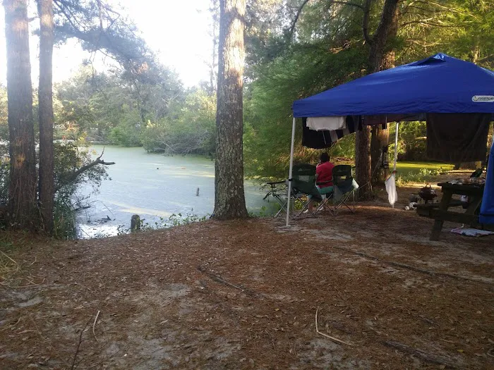 Cape Woods Campgrounds and Cabins Picture 1