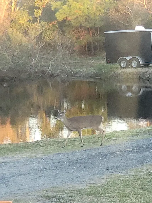 Island Hide-A-Way Campground Picture 9