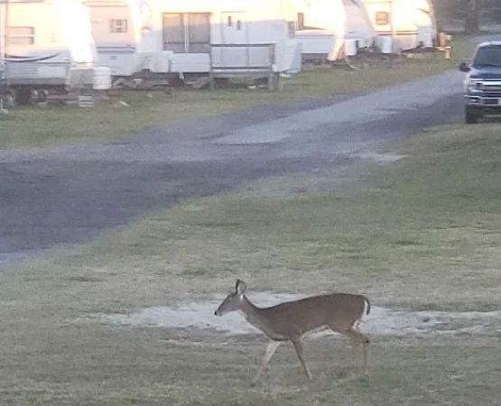 Island Hide-A-Way Campground