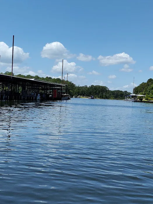 Powell Park Resort & Marina Picture 4