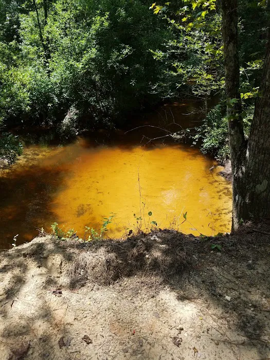 Beef Trail Campground Picture 1