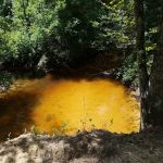 Beef Trail Campground