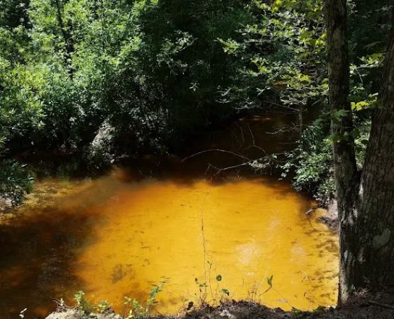 Beef Trail Campground