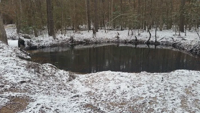 Beef Trail Campground Picture 3