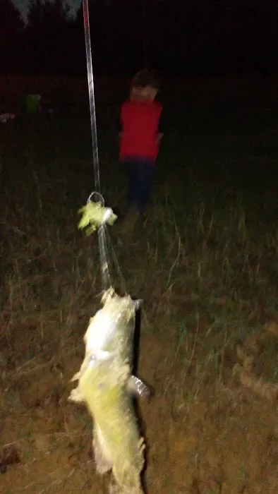 Thomson Lake Recreation Park Picture 9