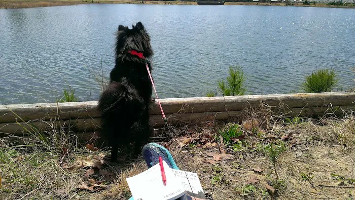 Thomson Lake Recreation Park Picture 3