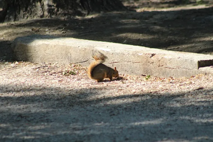 Lovell Camper Park Picture 10