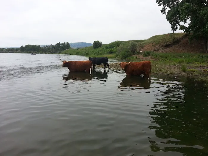 Afterbay South Campground Picture 3