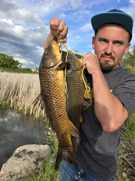 Grapevine Campground Picture 2