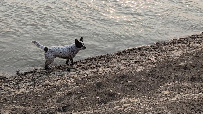 Cottonwood Creek Campground Picture 4