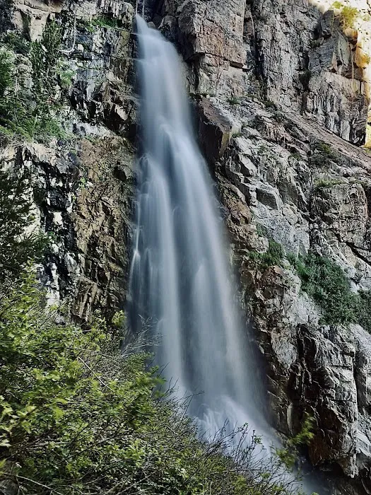 Five Springs Falls Campground (lower) Picture 4