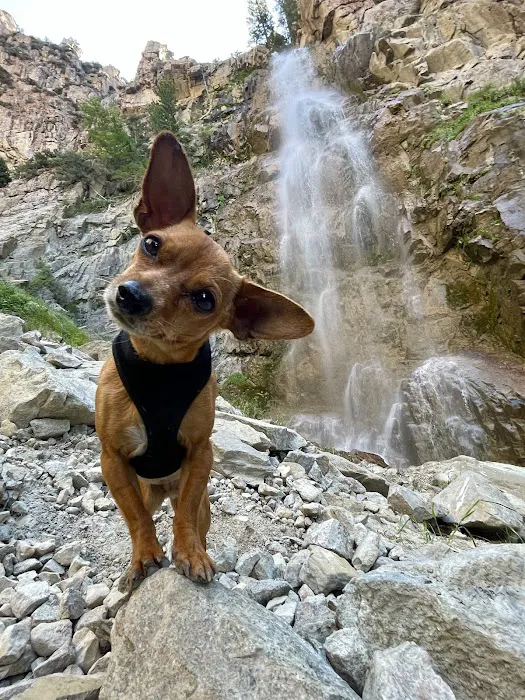 Five Springs Falls Campground (lower) Picture 3