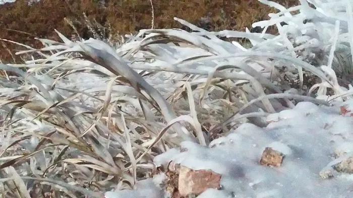 Five Springs Falls Campground (lower) Picture 1