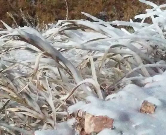 Five Springs Falls Campground (lower)