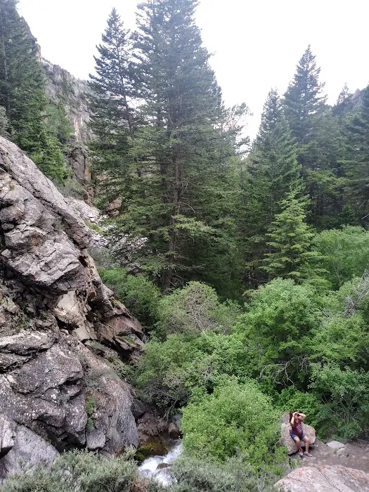 Five Springs Falls Campground (lower) Picture 7