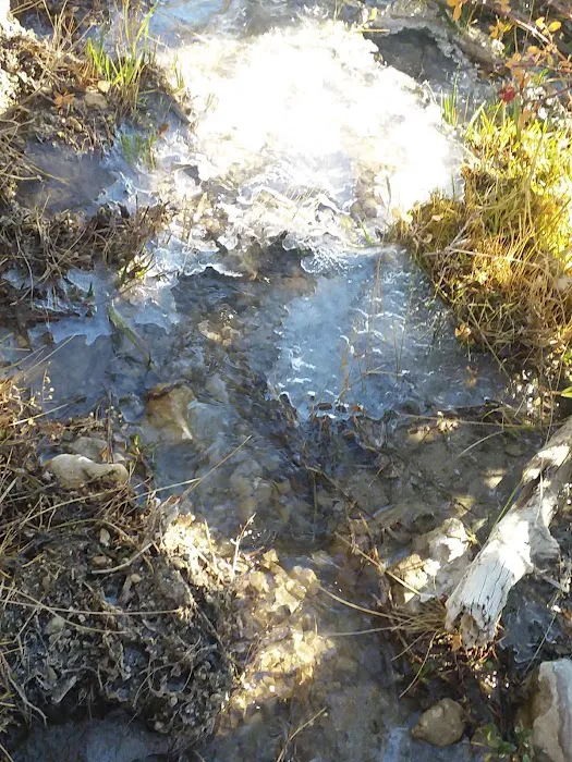 Five Springs Falls Campground (lower) Picture 8