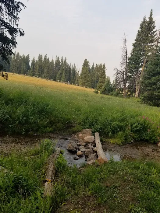 Bald Mountain Campground Picture 5