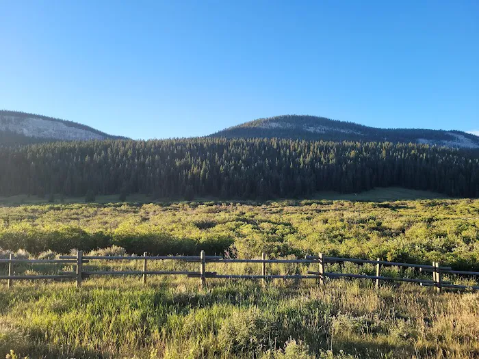 Bald Mountain Campground Picture 8