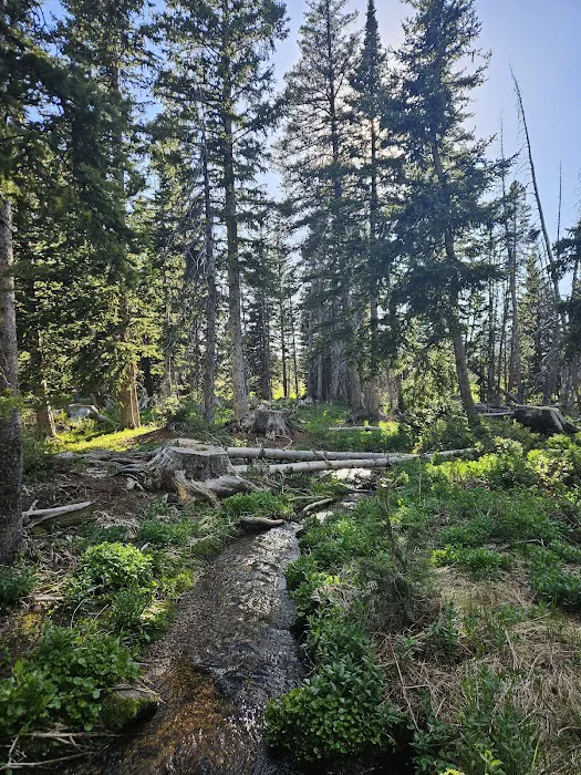 Bald Mountain Campground Picture 10