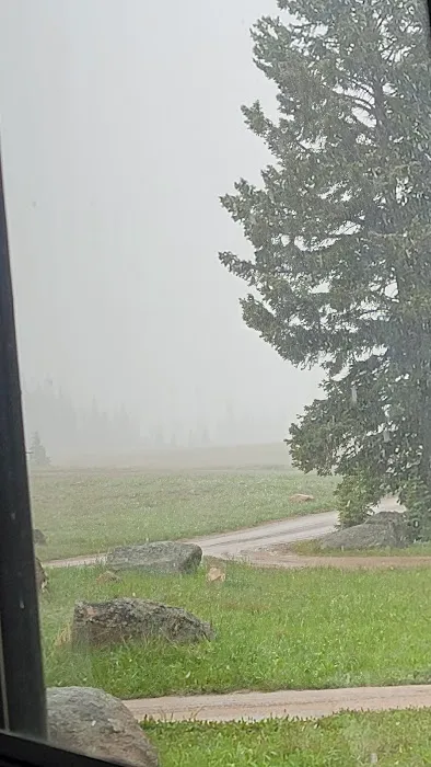 Bald Mountain Campground Picture 1