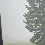 Bald Mountain Campground