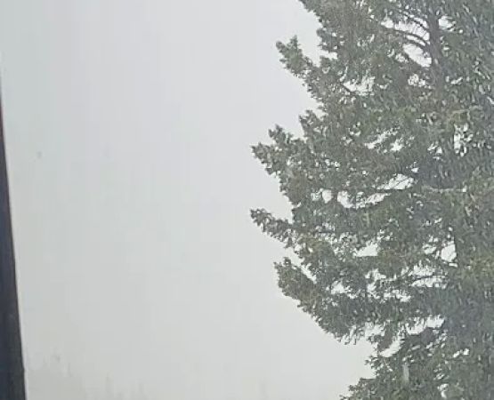 Bald Mountain Campground