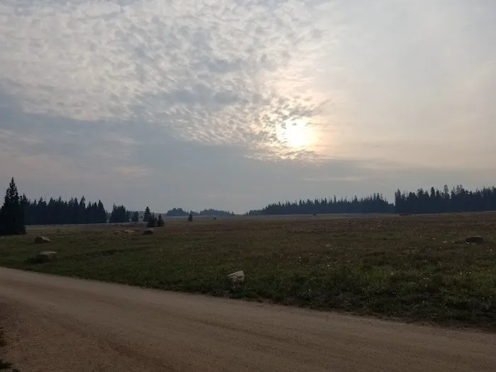 Bald Mountain Campground Picture 2