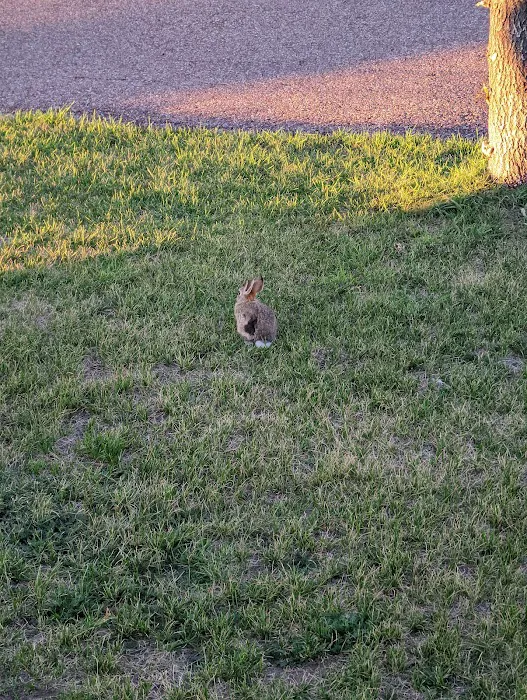 Malmstrom Air Force Base Gateway Fam Camp Picture 10