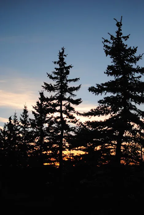 Malmstrom Air Force Base Annex FamCamp Picture 7