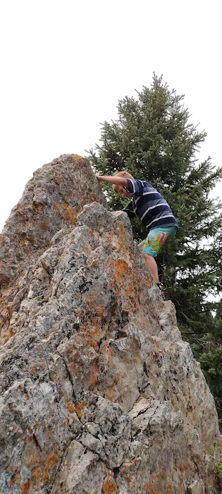 The Big and Little Snowy Mountain Range Picture 3