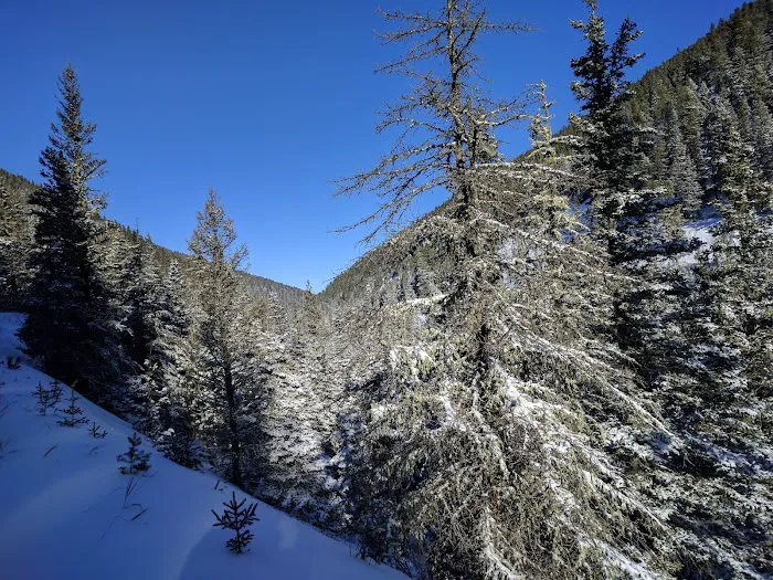 The Big and Little Snowy Mountain Range Picture 10