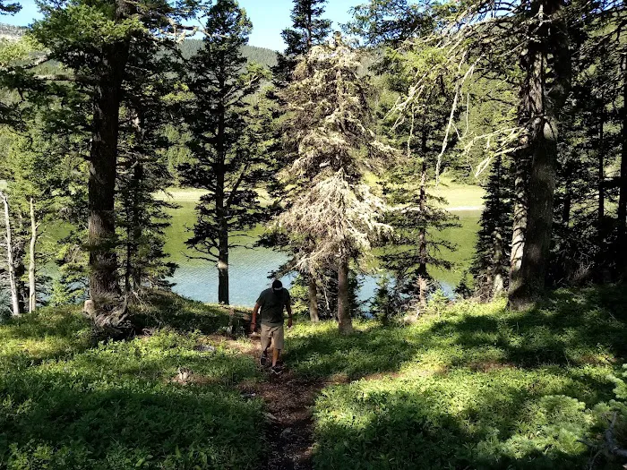 Crystal Lake Campground Picture 8