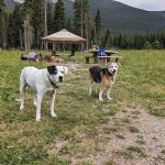 Crystal Lake Campground