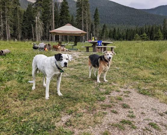 Crystal Lake Campground