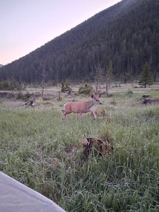 Crystal Lake Campground Picture 3