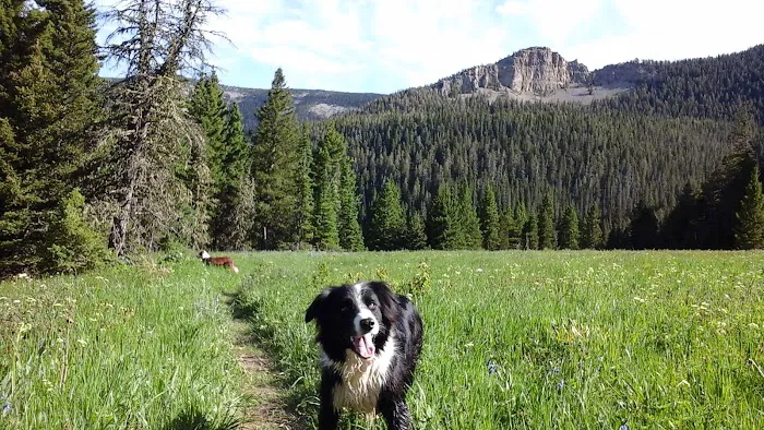 The Crystal Lake Group Campground Picture 9