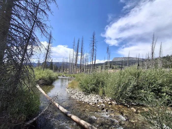 Shields River Campground Picture 6