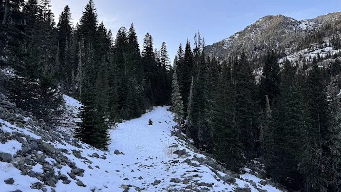 Halfmoon Campground Picture 8