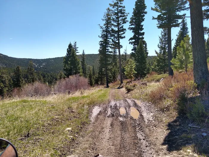 Timber Cr Dispersed Campground Picture 1