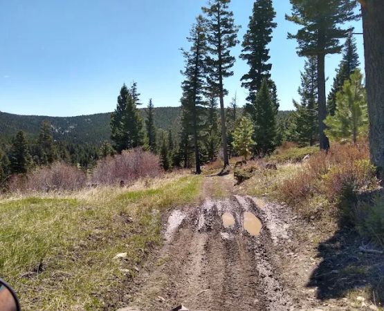 Timber Cr Dispersed Campground