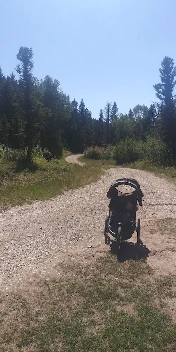 Timber Cr Dispersed Campground Picture 9