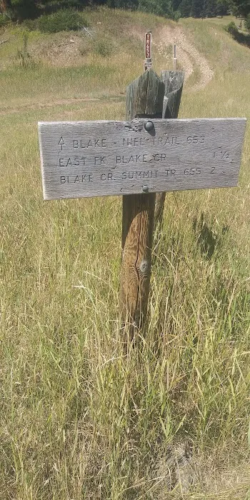 Timber Cr Dispersed Campground Picture 8