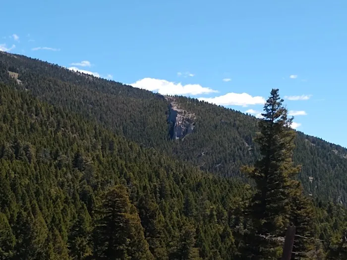 Timber Cr Dispersed Campground Picture 3