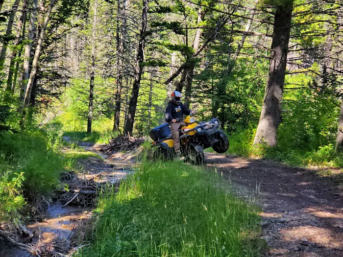 Timber Cr Dispersed Campground Picture 10